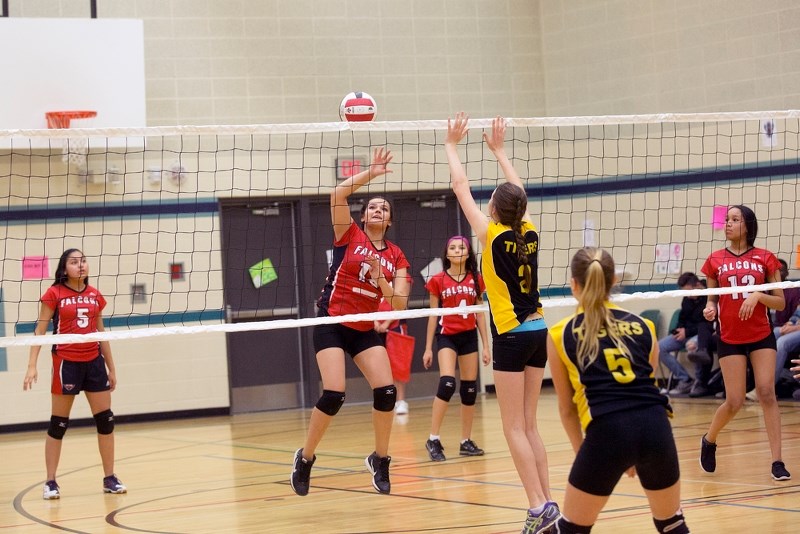 The Ashmont Falcons take on Two Hills during a junior SPAA game, last week. The Racette boys&#8217; and girls&#8217; teams won this year&#8217;s championship banners.