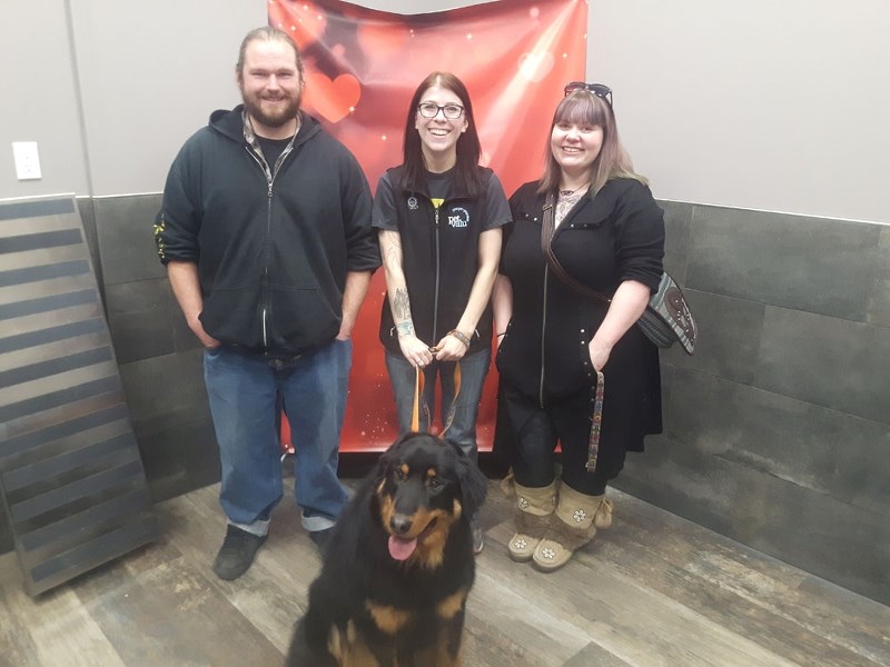 A fundraiser held over the weekend offered residents the chance to have photos of their pets taken. Pictured is Josiah Clarke, Amanda Batdorf, and Cathy Olstad. Pictured in
