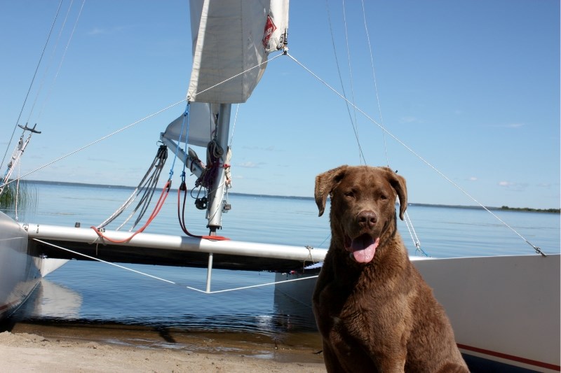 Charmaine and Cristopher Hammond&#8217;s dog Toby on a Plamondon beach.