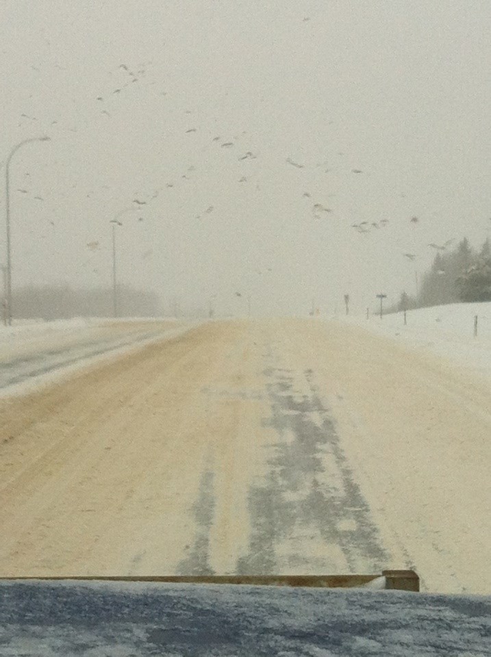 This is a reader submitted photo from Yvonne Poholski. It was taken around noon on Jan. 17. These are the conditions that caused so many cars to go into the ditch. Please be