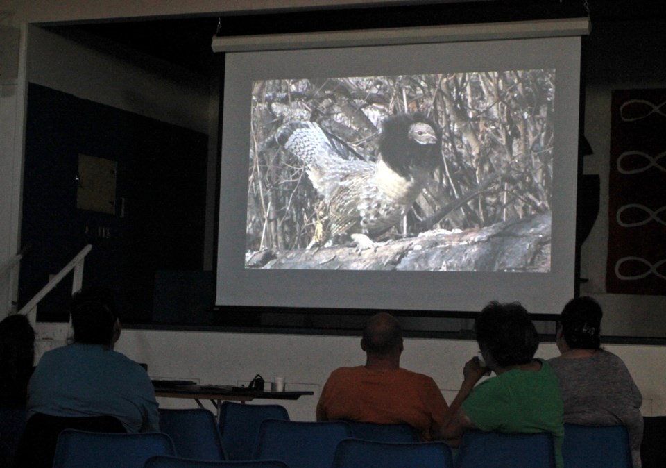 Community members watch footage of filmmaker Albert Karvonen&#8217;s favourite bird, the grouse, in &#8220;The Forest Is Calling.&#8221;