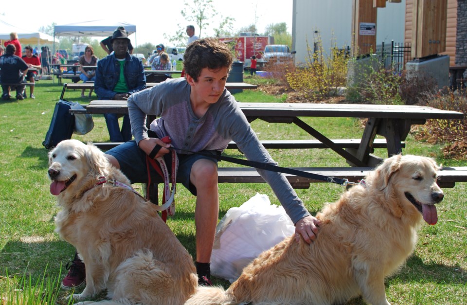 Gavyn Galloway sits outside the Bold Center in Lac La Biche with his family&#8217;s two golden retrievers, Bella and Misty.