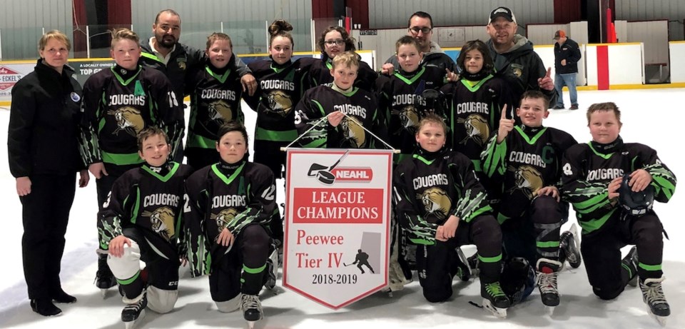 PEWEE PLAMONDON LEAGUE CHAMPIONS