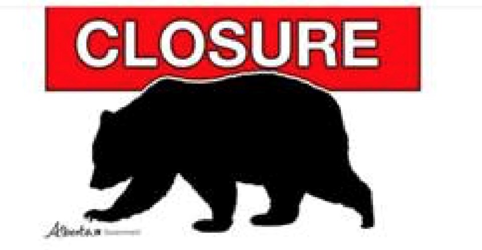 closure bear winston