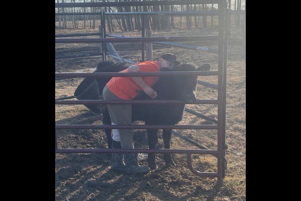 Jackson Cull with his Black Angus steer named Inedabunn who he will be entering into the beef competition as part of 4-H Achievement Day on June 7. Submitted photo. 