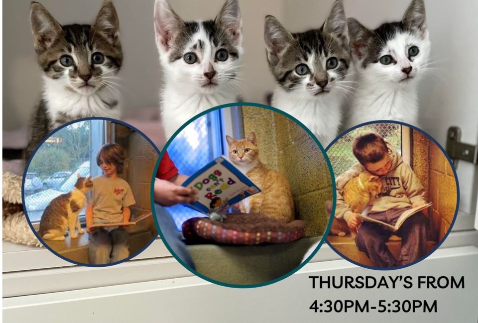 lakeland-humane-society