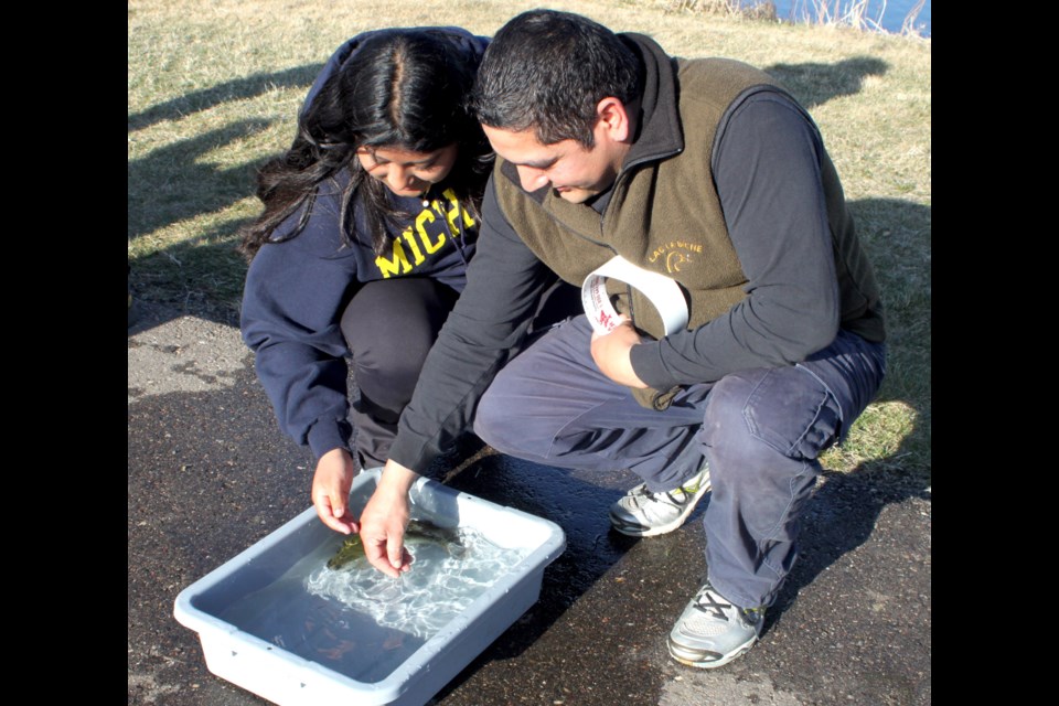 Narayan Sharma and his daughter, Yasmin, look over some trout that were later released into the fish pond at Alexander Hamilton Park for the annual 'Dad and Me' event, which took place on May 1. Chris McGarry photo. 
