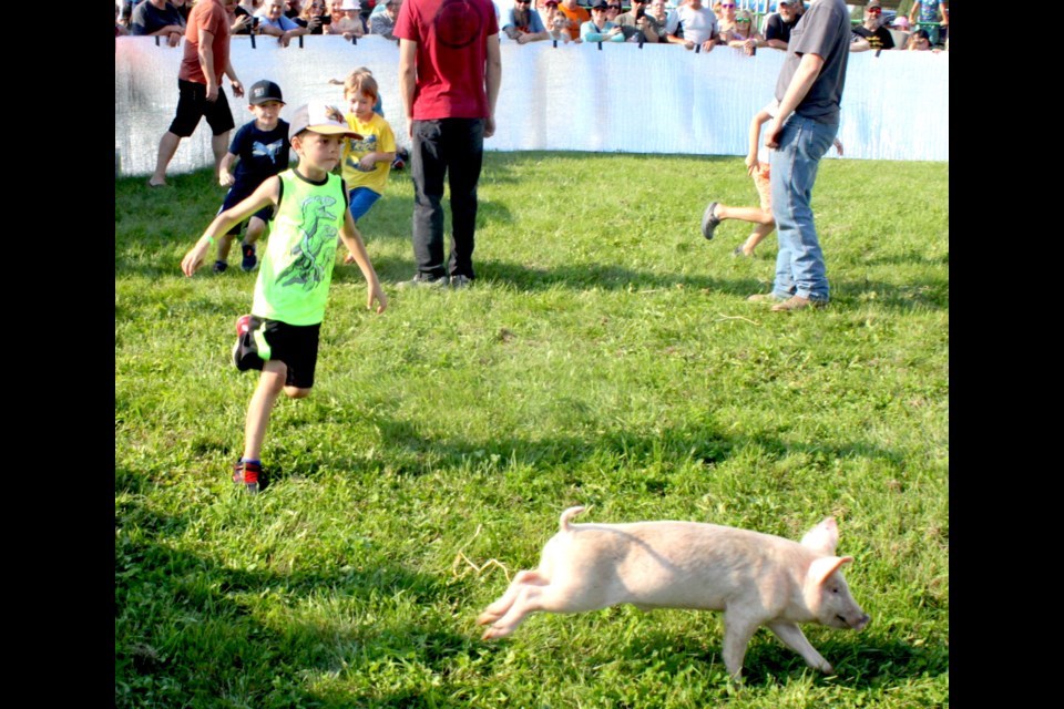 pig-catch-2023