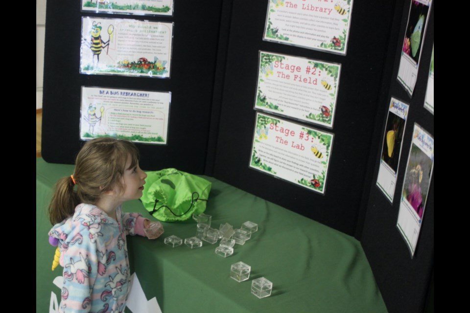 Sofia Kurppa checks out the exhibit that featured detailed information about the stages of bug research. Chris McGarry photo. 