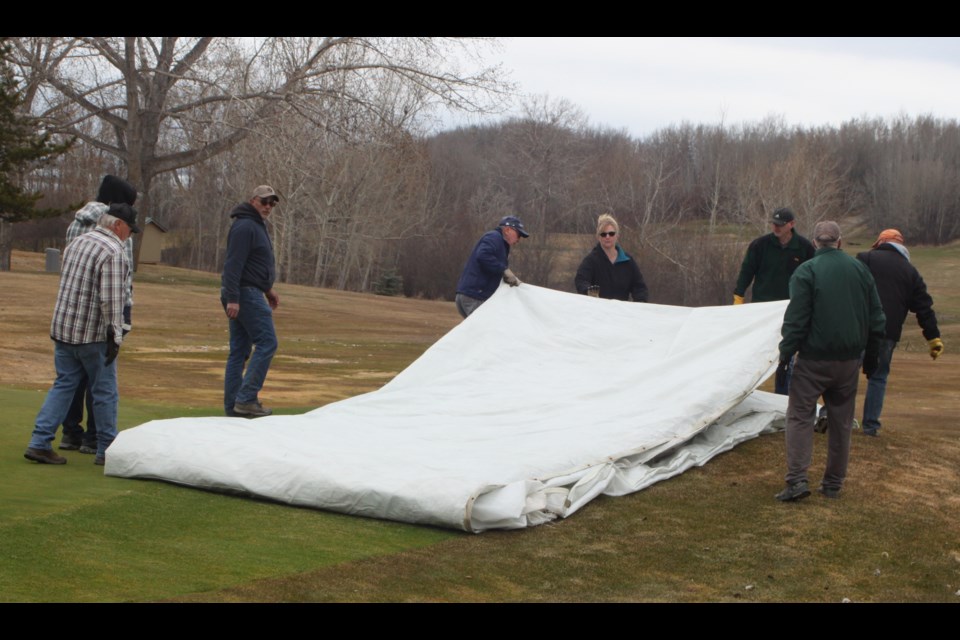 Maintenance staff at the Lac La Biche Golf Course and volunteers roll up a tarpaulin that covered one of the greens on the course during the winter months. Chris McGarry photo. 