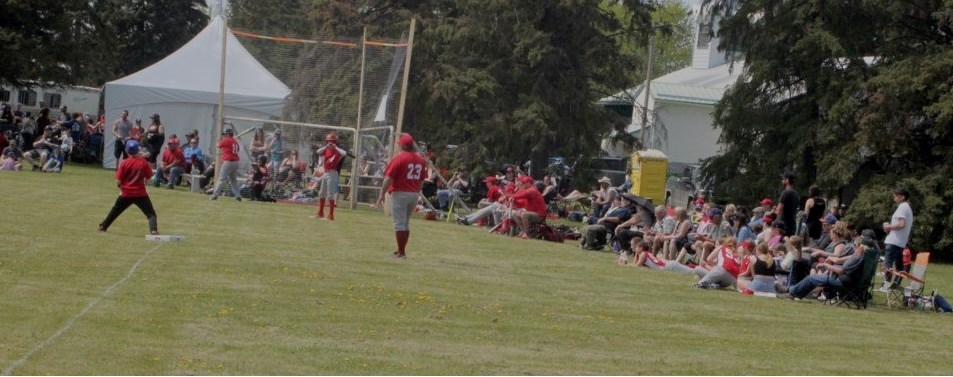 A ball game at the park during the 2025 Venice Picnic. Photo supplied. 
