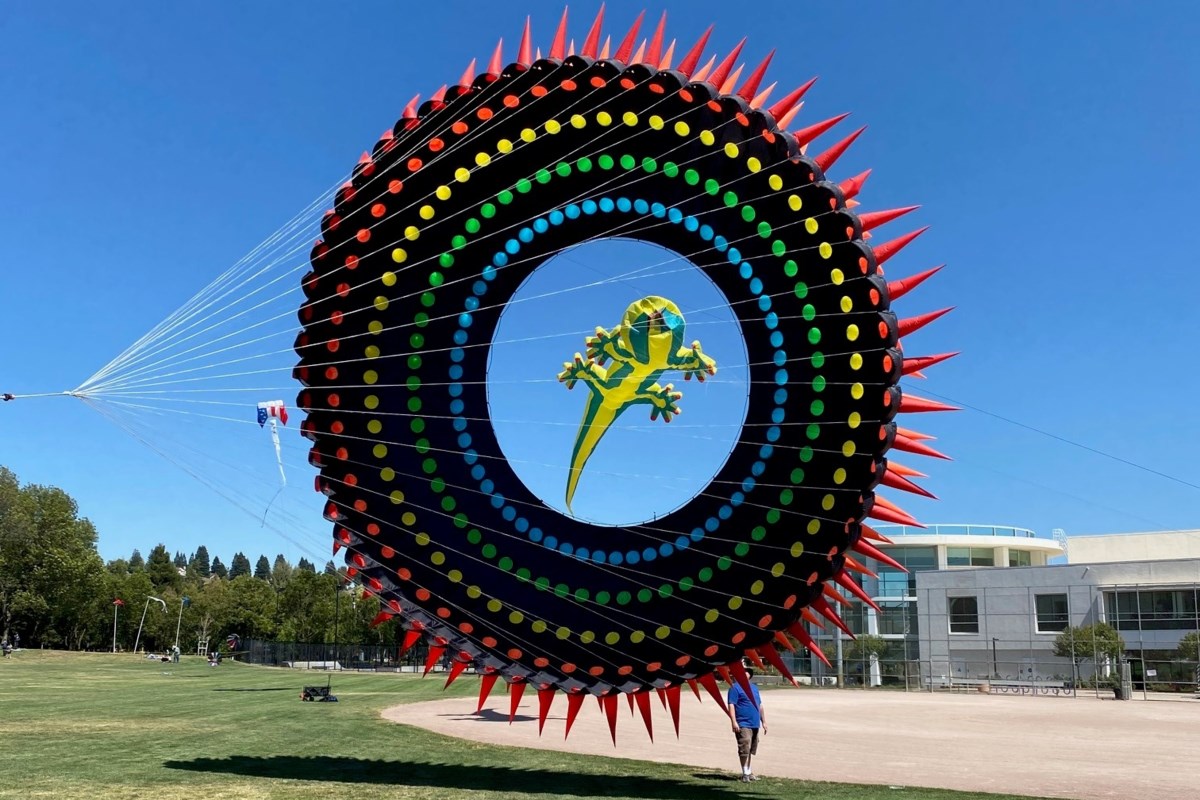 'Let's go fly a kite!' Art and Wind Festival returns this weekend