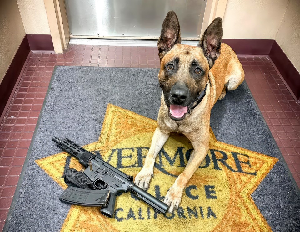 k9max-01