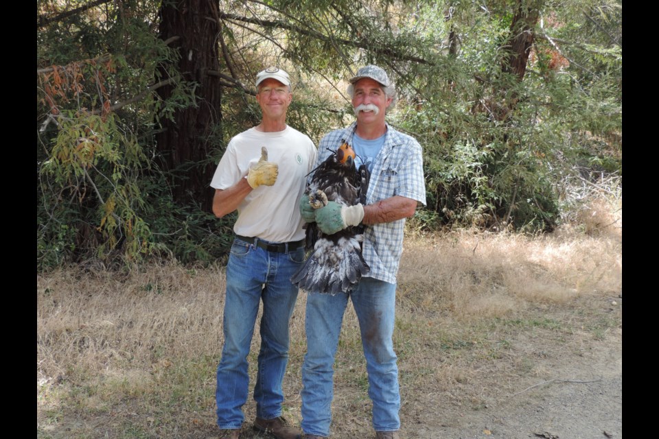 Wildlife program manager Doug Bell (left) and wildlife biologist David Riensche (right) stand with the eaglet after completing a safe rescue.          