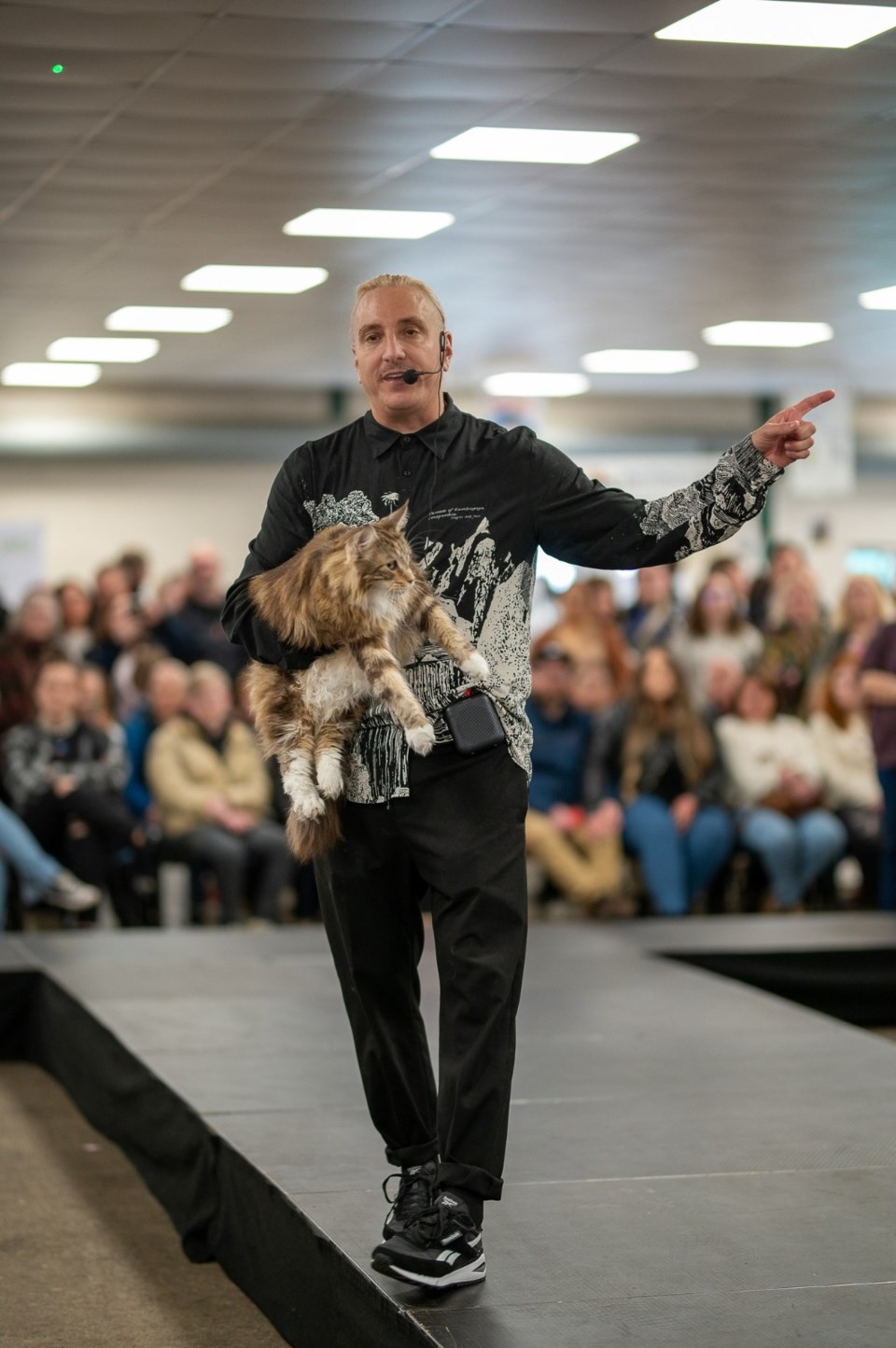 cat-extravaganza-2