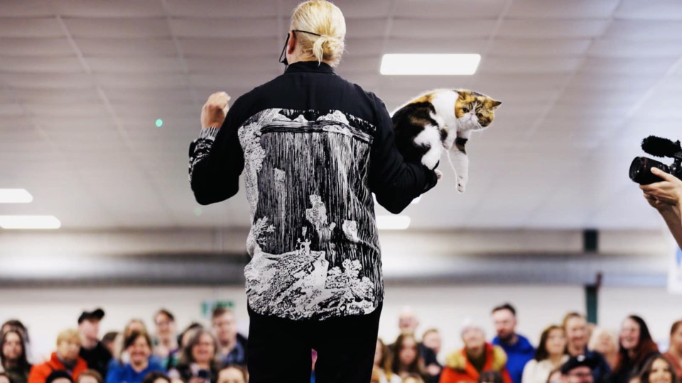 cat-extravaganza-3