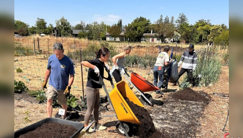 fertile-groundworks-volunteers