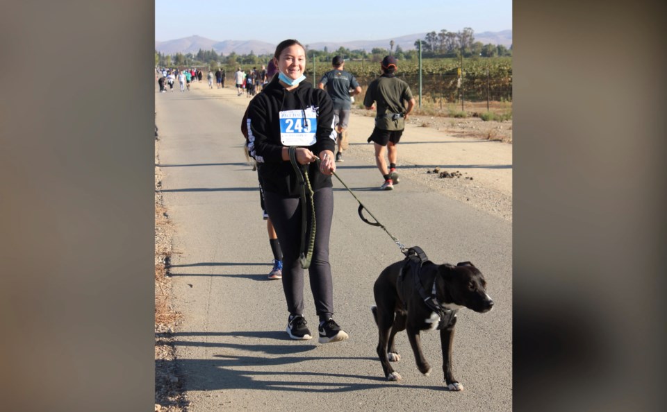 pace-for-peace-dog