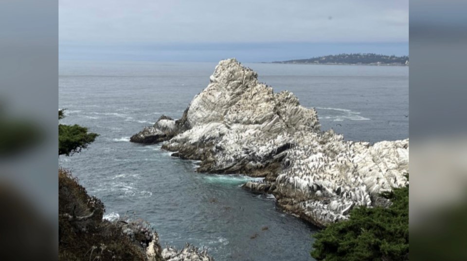 point-lobos