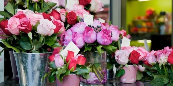 rose-show