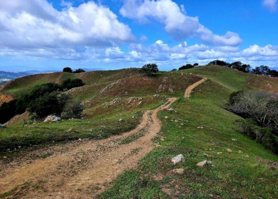 sunol-ridge-trail