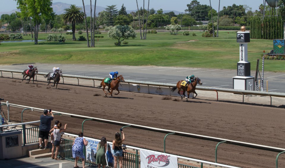 horse-track