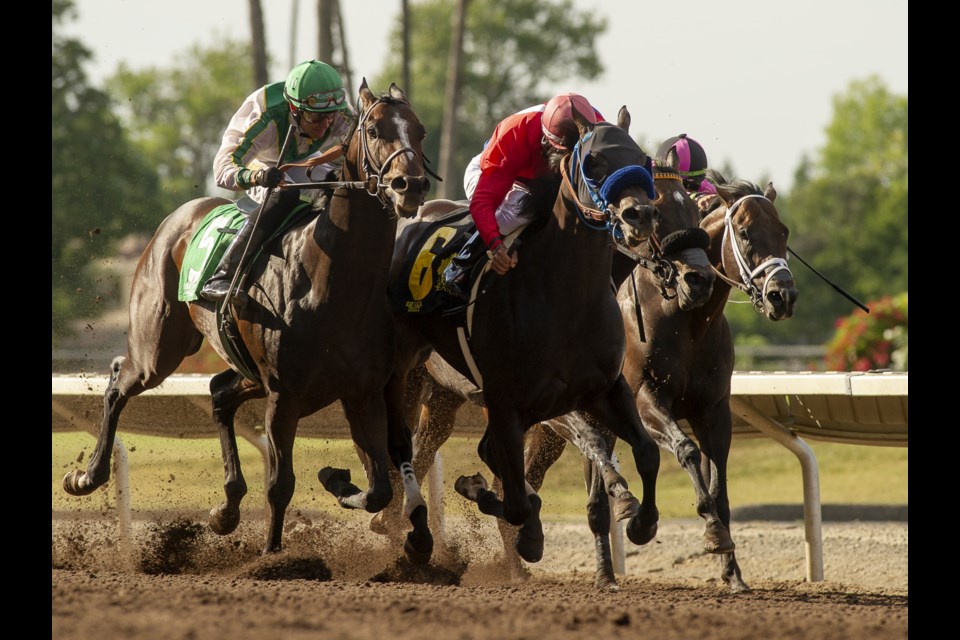 Horse racing returns to the Alameda County Fair this weekend.