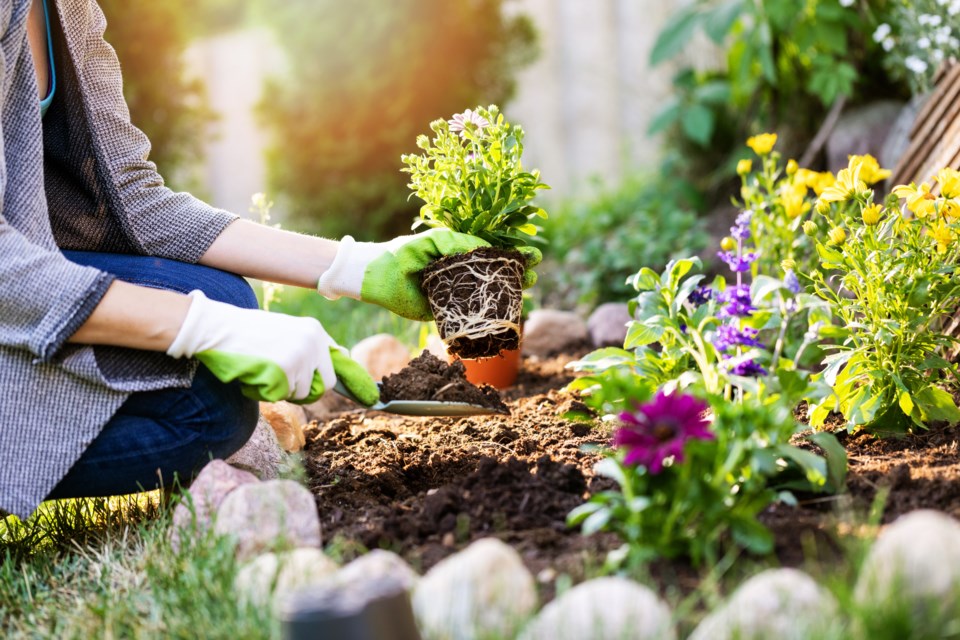 adobestock_206735513