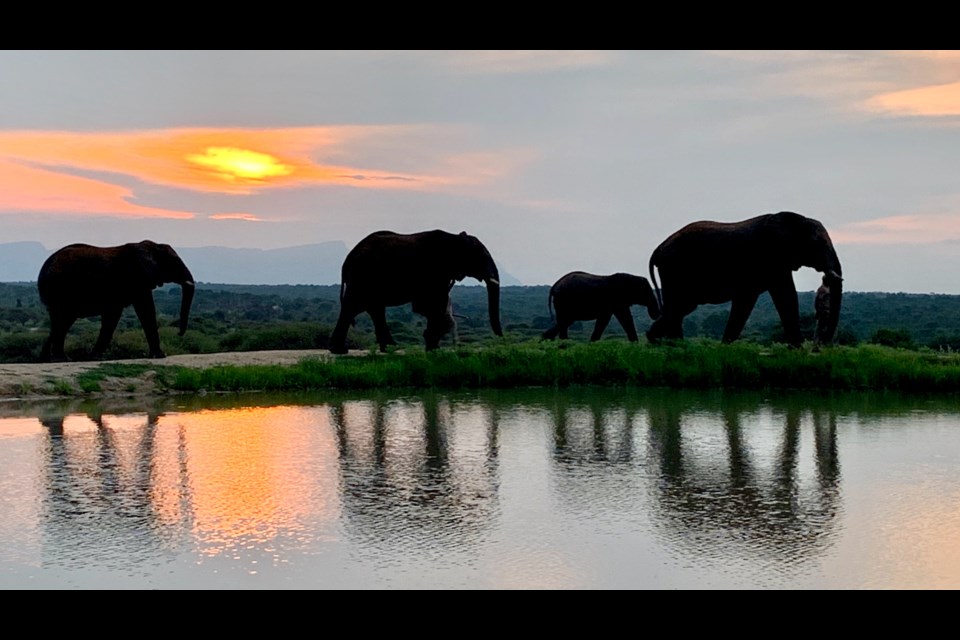 Scenes from Lorraine's recent trip to Tanzania.