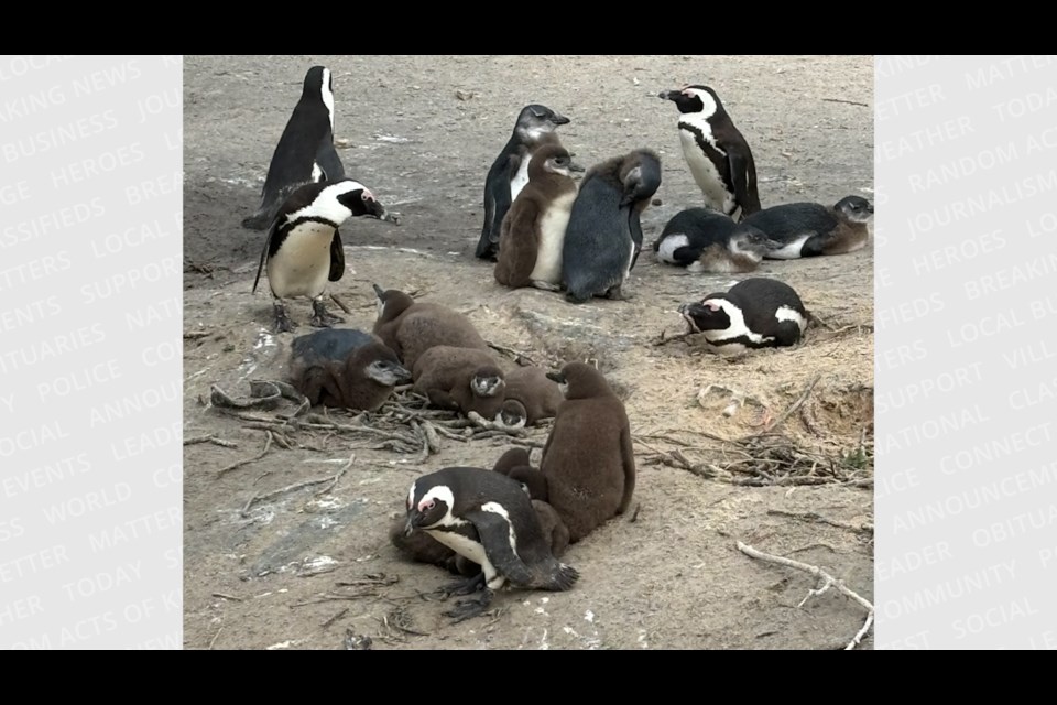 Scenes from South Africa