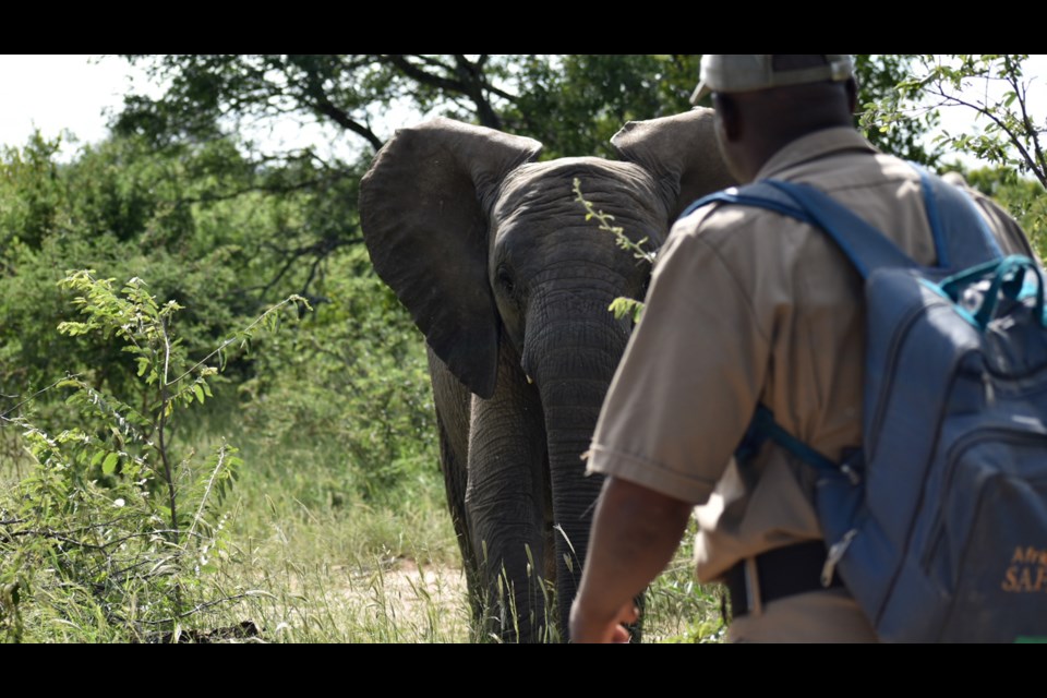 Scenes from South Africa