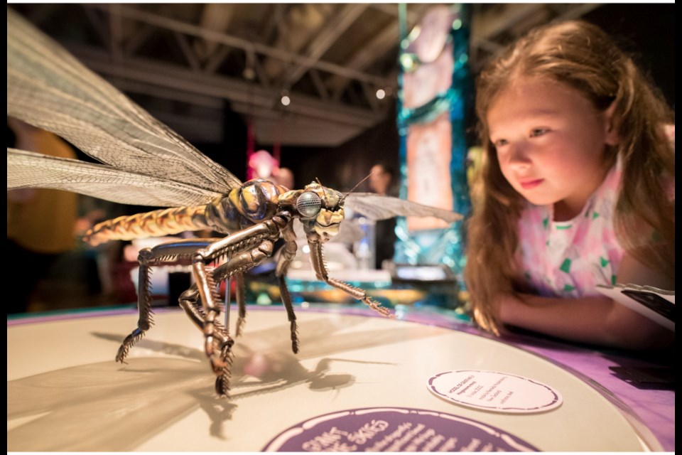 Photo: Perot Museum of Nature and Science