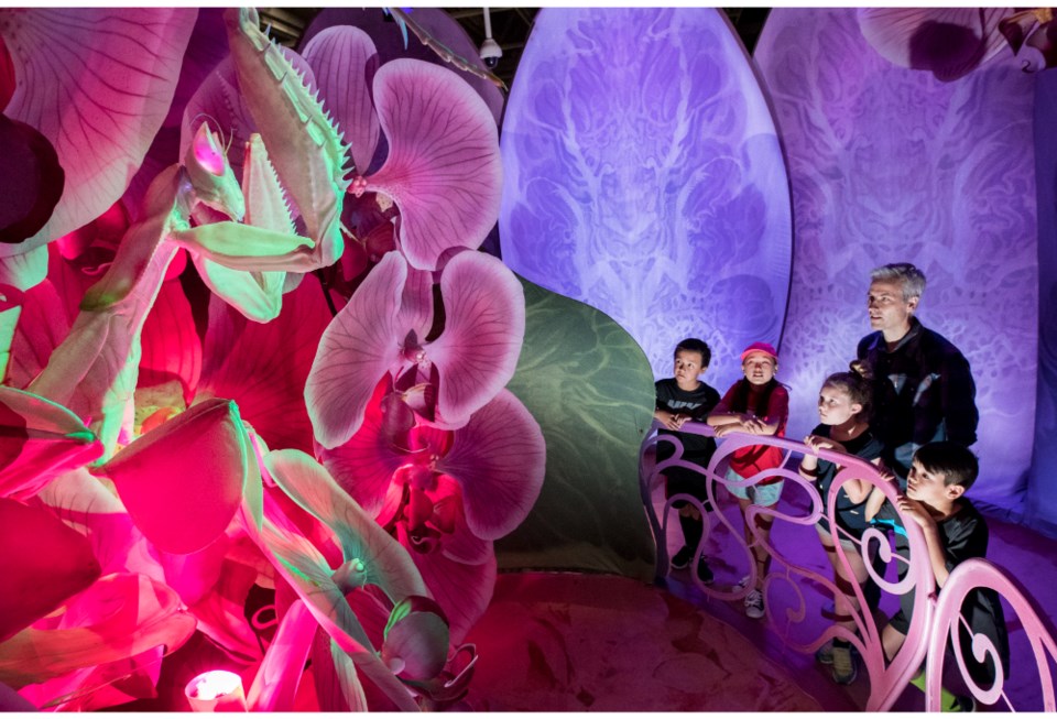 bug-lab-2-perot-museum-of-nature-and-science