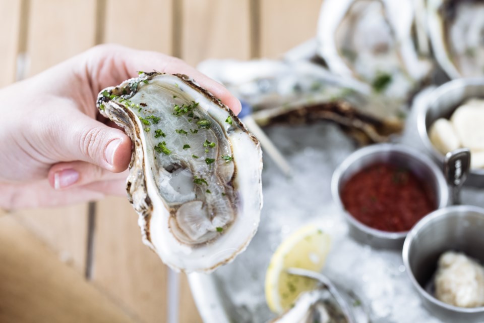 east-coast-oystershudson