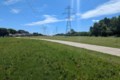 Good News, Plano Is Bringing More Wildflowers To Parks