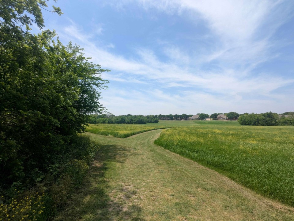 city-of-plano-los-rios-grow-zones-trail-and-greenery