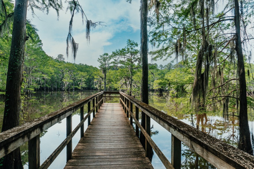 Caddo Lake State Park