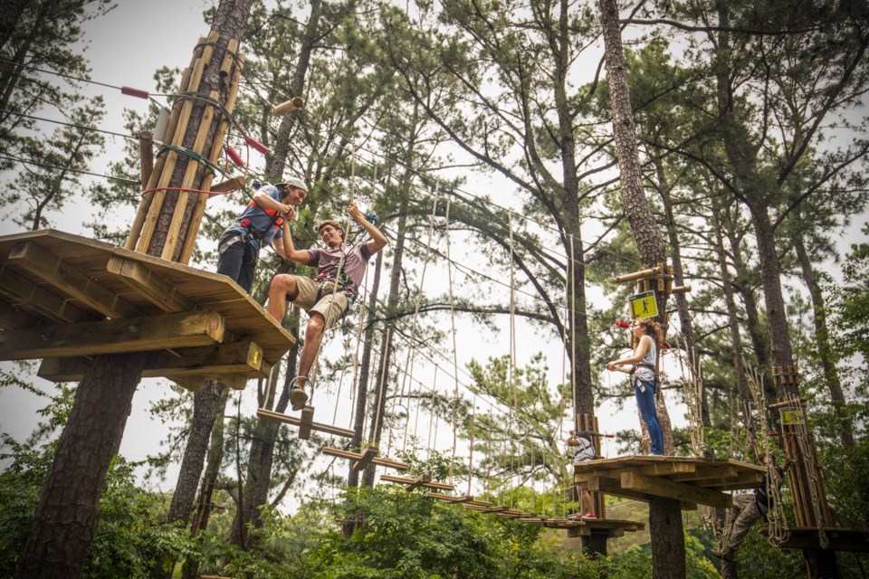 goapeadult-67