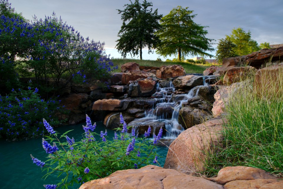 miloandmephotography_waterfall-in-frisco_shutterstock_1429931033