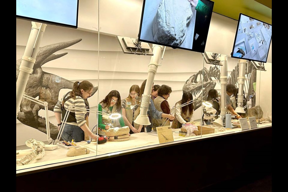 Photo: Perot Museum of Nature and Science