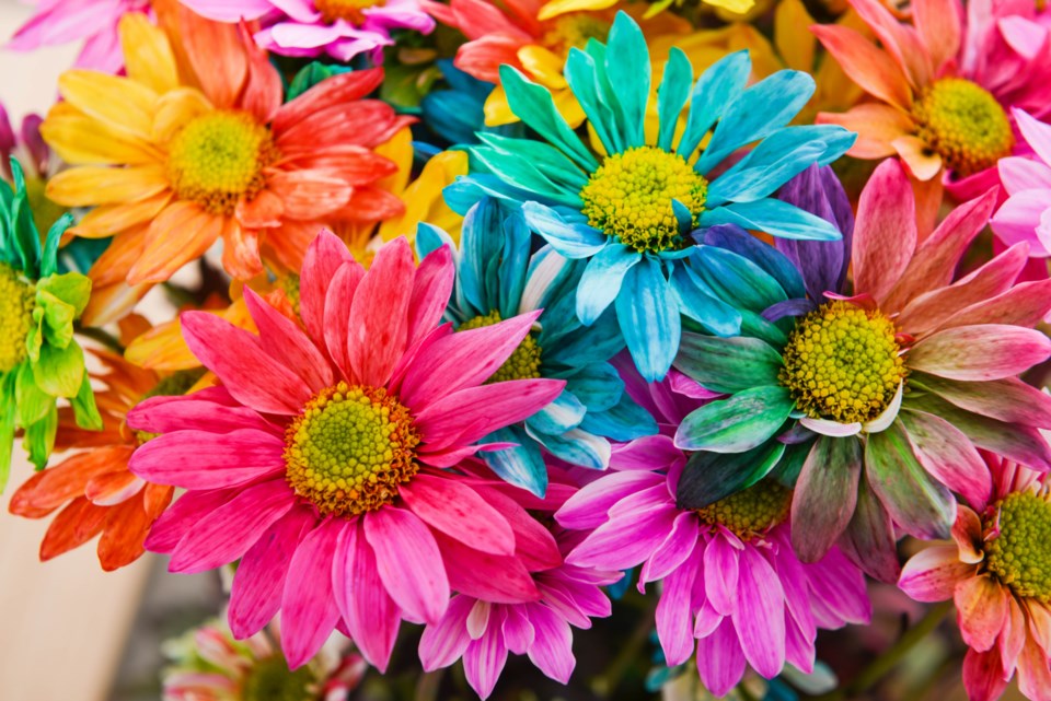 shutterstock_1014874258