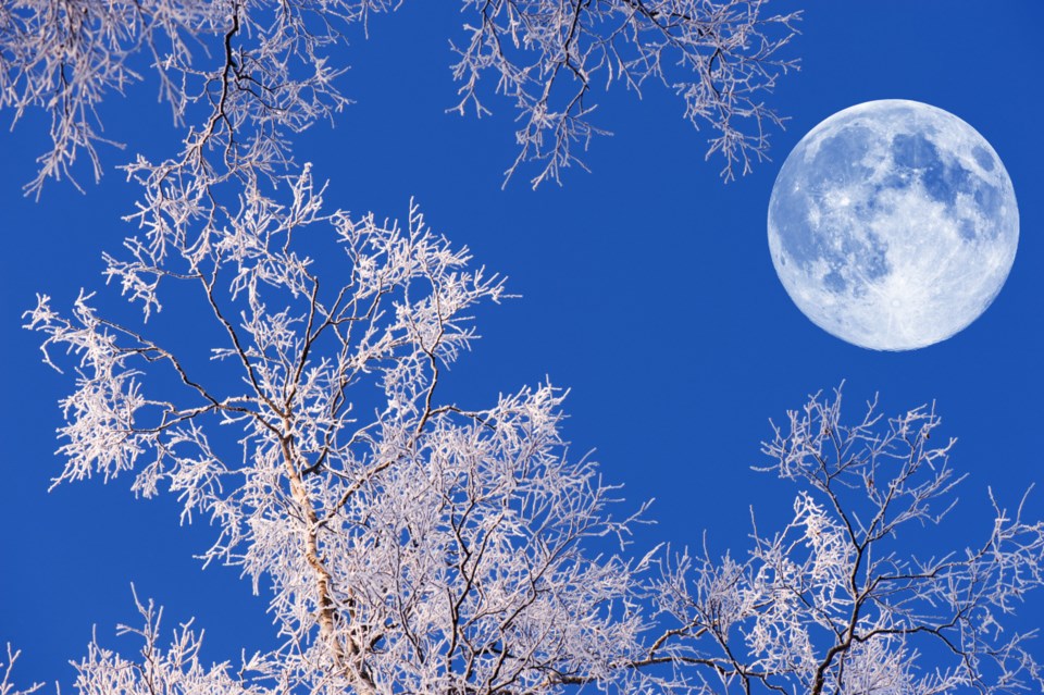 shutterstock_1113389819