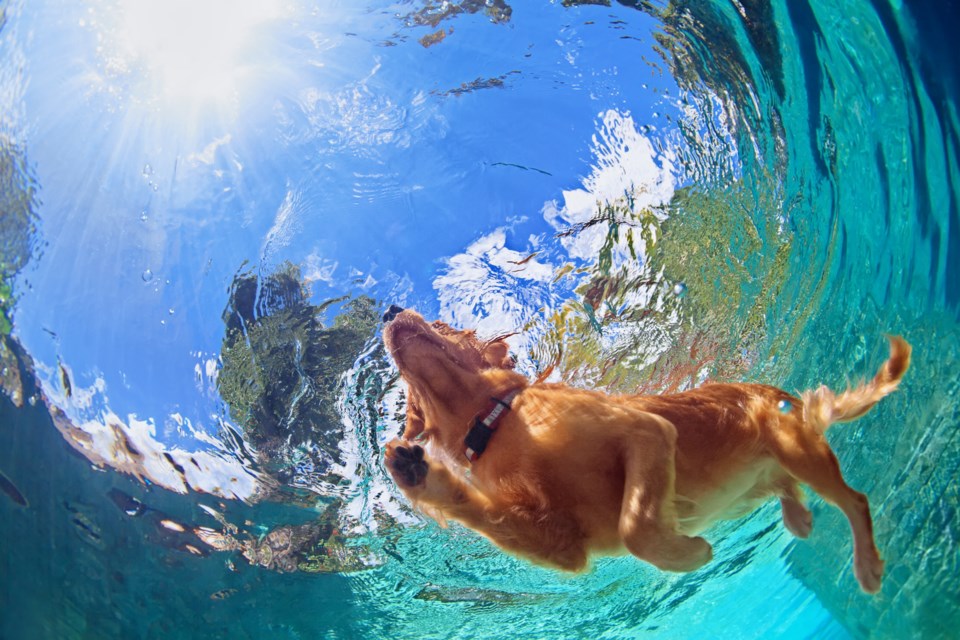 shutterstock_399767341