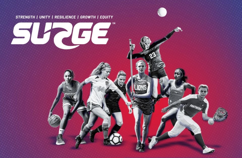 surge_website