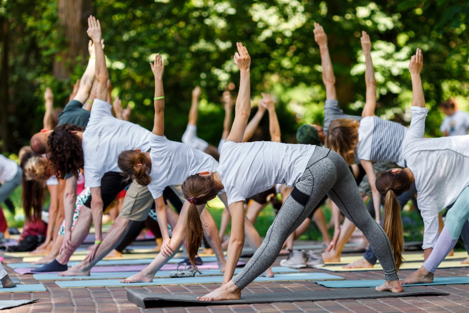 bearmoney_yoga_shutterstock_443069599
