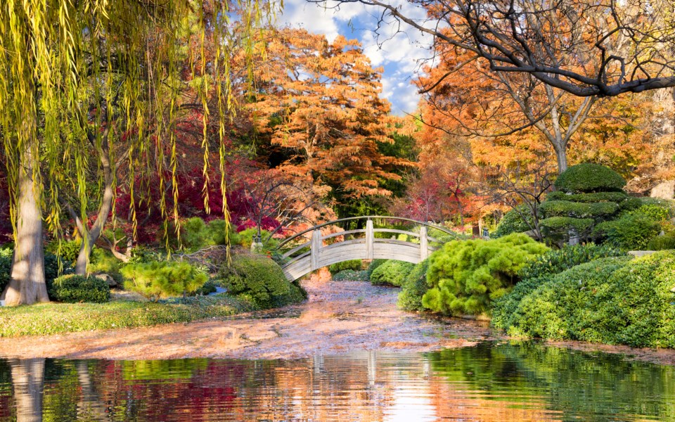 botanic-garden-photo-dean-fikar-shutterstock_235022356