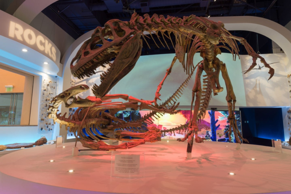 fort-worth-museum-of-science-and-history_screenshot-2025-05-21-104030