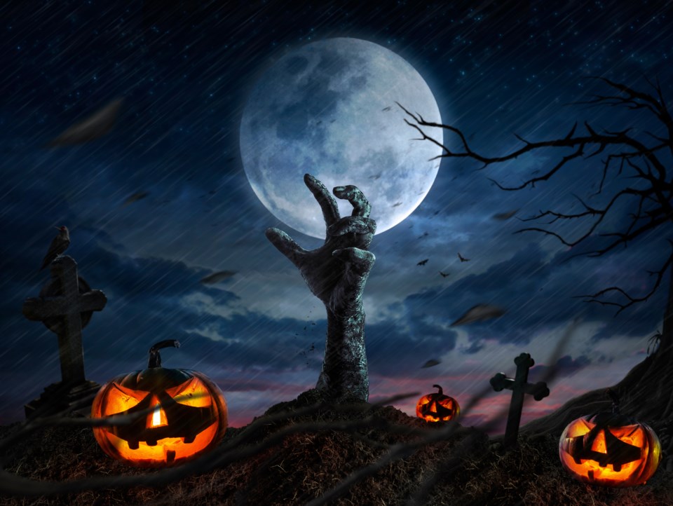 shutterstock_1042803175