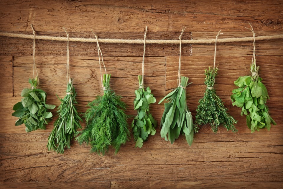 fresh herbs