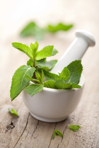 fresh herbs